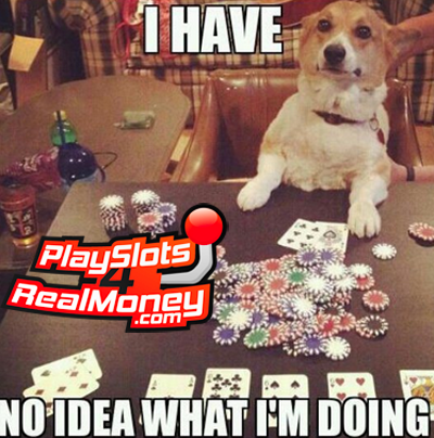 Online Gambling Memes
